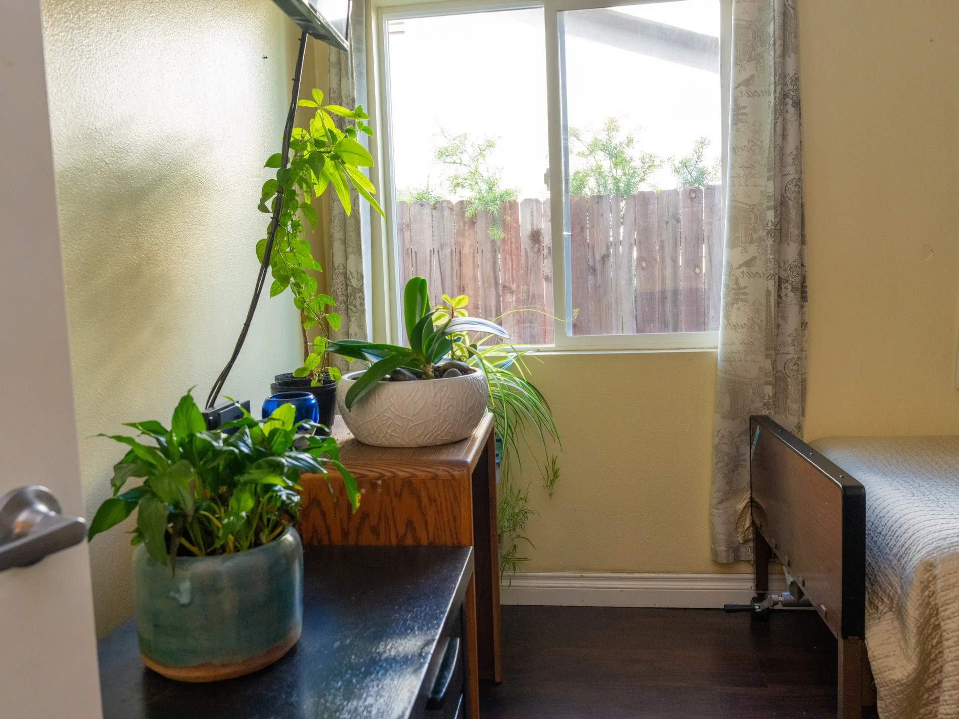 Bright bedroom corner with houseplants on wooden nightstand beside window overlooking fenced yard